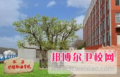 承德卫生学校网站网址