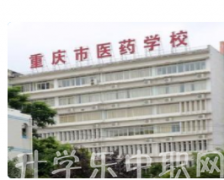 重庆市医药学校是公办还是民办？'