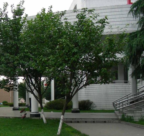 2020年四川都会职业学院五年造年夜专校园宿舍前提