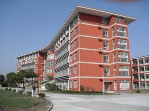  上海震旦职业学院招生录取分数线