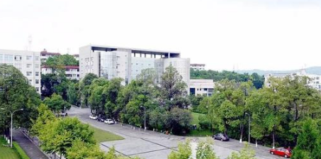 四川幼儿师范高档专迷信校专业有哪些