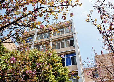 樱花中的学校