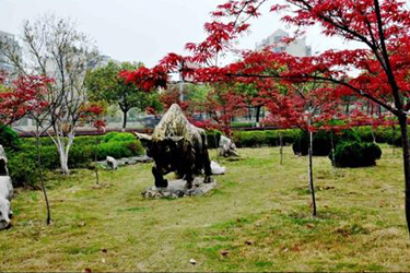成都中医药大学附属医院针灸学校龙泉校区2020年卫校学费多少