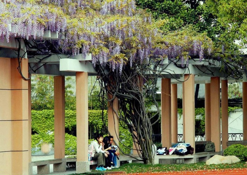 上海医药高等专科学校2020年报名条件、招生对象
