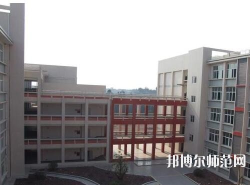 师范网5