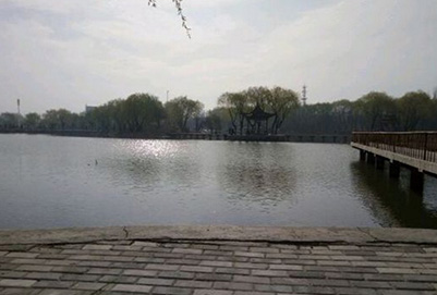  宁夏大学2019有哪些专业及什么专业好