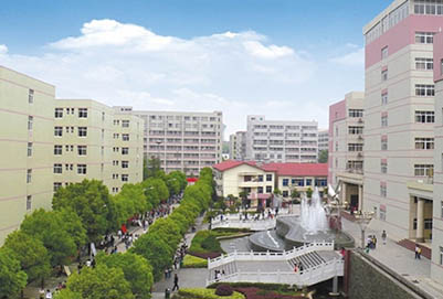  青海大学医学院2020招生录取分数线