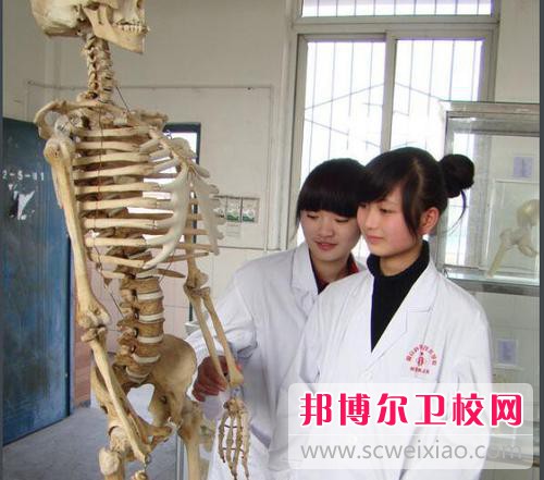 南充2020年什么卫校好