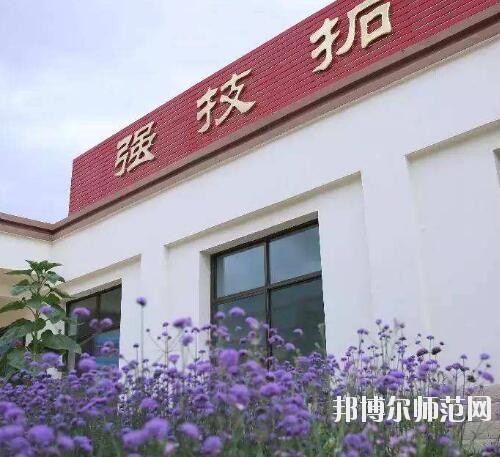 师范网5