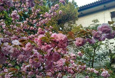  银川大学2020学费是多少钱及收费标准