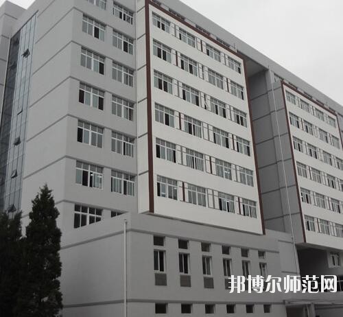 师范网5