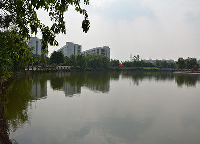 学校景物