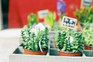 成都会修建工程校园修建学专业培育种植提拔方针