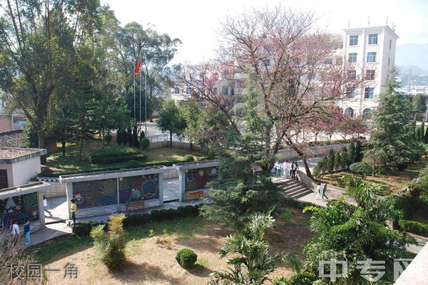 临沧财贸学校
