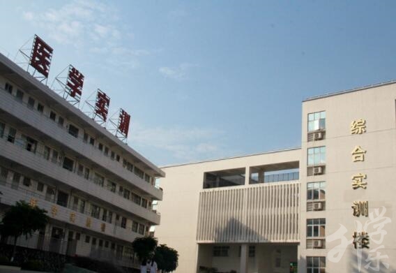 2020年广东公办中等职业学校排行榜'