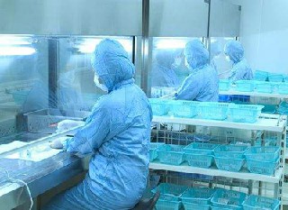 读成都卫生校园照顾护士的优点有哪些?