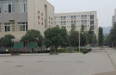大巴6