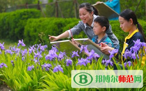 特殊教育学校招生要求