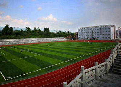  成都胜利中学是民办学校还是公办学校？