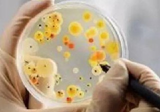 护理学专业学校排名