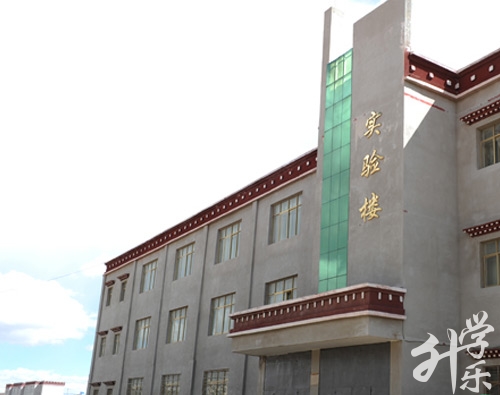 2020年***中专校园排名'