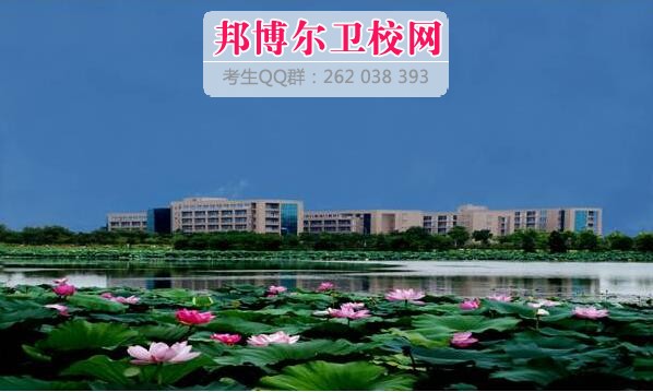 武汉科技大学医学院有哪些专业