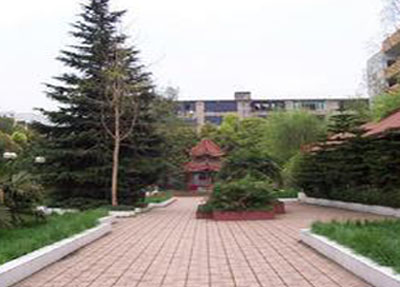 学校情况.jpg