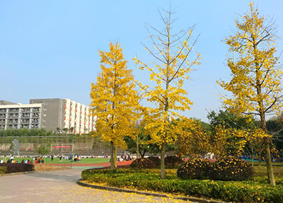 重庆医药高档专迷信校