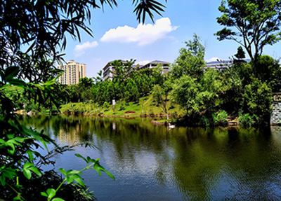 重庆动力职业学院