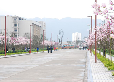 玉兰小道.jpg