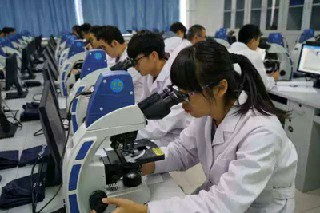 成都卫生校园的师资力气若何?