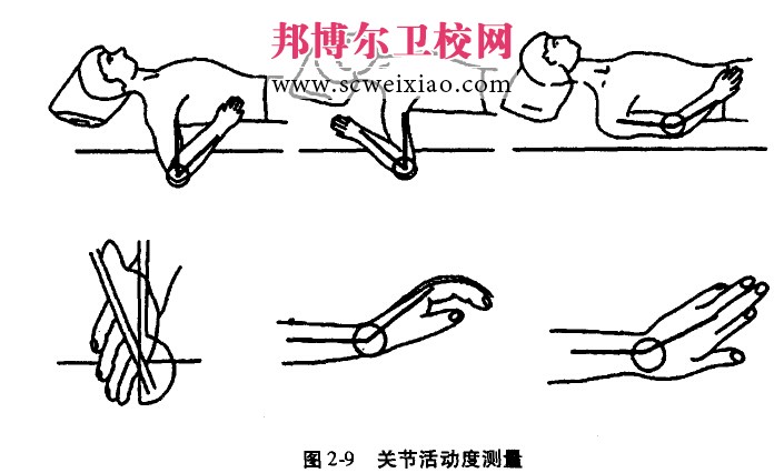 关节活动度的测量方法1