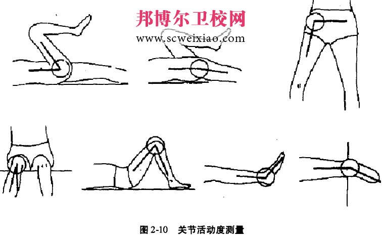 关节活动度的测量方法2