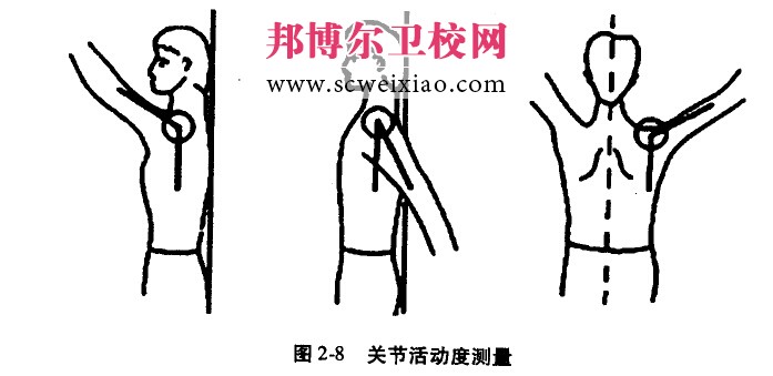 关节活动度的测量方法