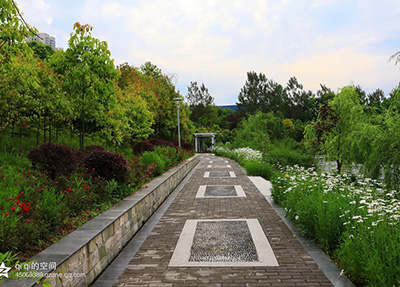 学校风景.jpg
