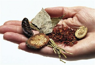 成都卫生校园的中中医临床医学专业怎样样啊?