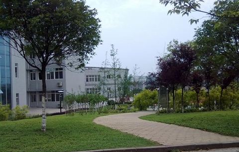 p00054292_800