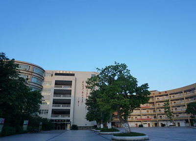 公办学校
