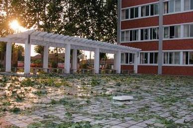 成都市建筑学校的独特育人模式?