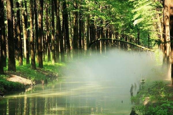 2021高考专业：解读心理学专业