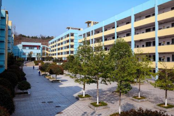 成都读甚么职业学校好