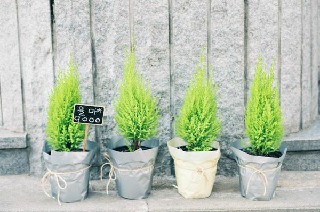 四川化工高等技工学校2020年秋招生存划