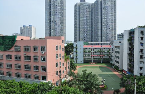重庆南丁卫生学校校园地址在哪