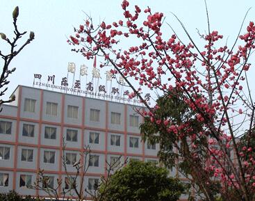 乐至县高级职业中学2020年招生简章_乐至县高级职业中学怎么样?