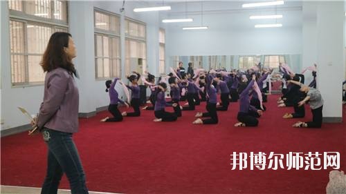 郑州艺术幼儿师范学校网站网址