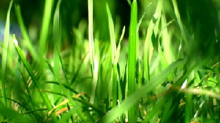 成都会计学校涉外会计专业介绍
