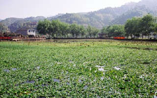 高职学校排名什么专业最好
