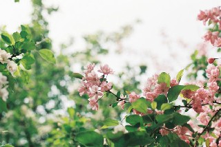 成都指北针职业技术学校本科报名告诉