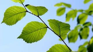 成都指南针职业技术学校助学政策_学校地址