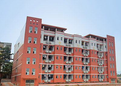 åæ±æ³°æ¥èä¸å­¦é¢